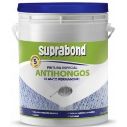 PINTURA SPB ANTIHONGOS ESP....