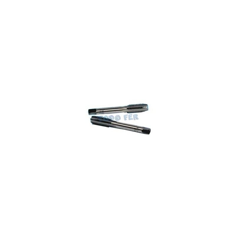 MACHO KOLN BSP 1/4X19         ( 2U)