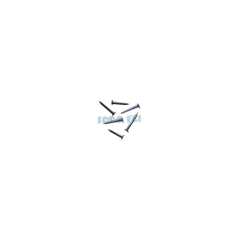 TACHUELAS 19MM(100GRS)