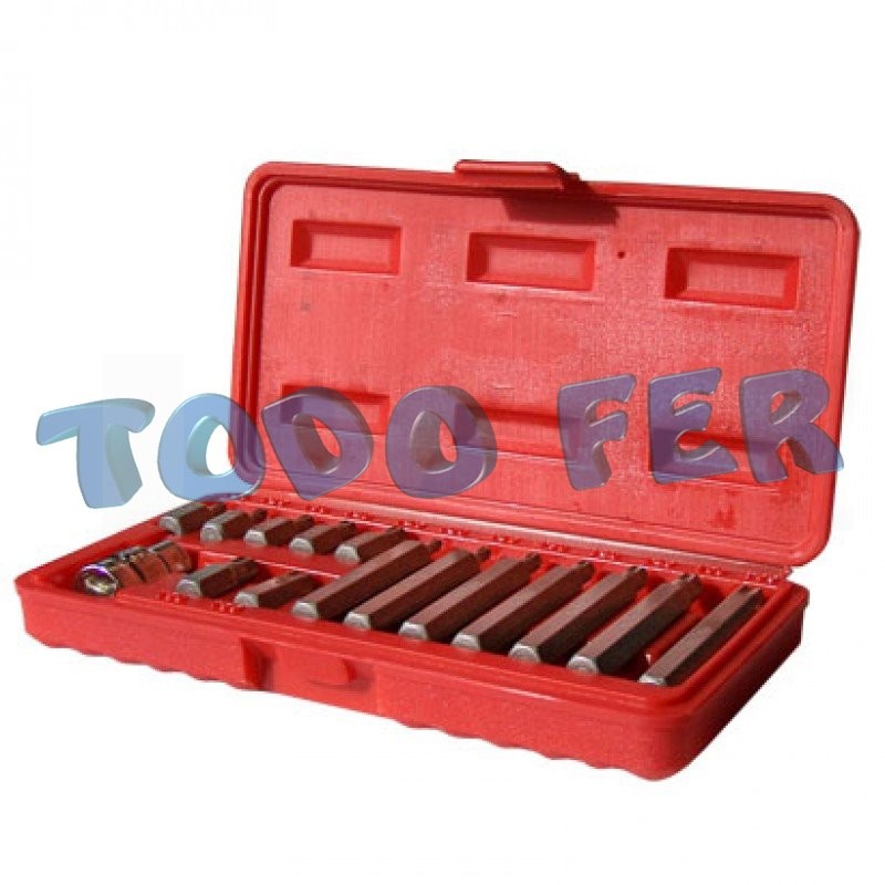 PUNTA ATOR. CROSS TORX T20-T55 SETX15PZ
