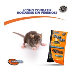 TRAMPA ADHESIVA PARA RATAS...