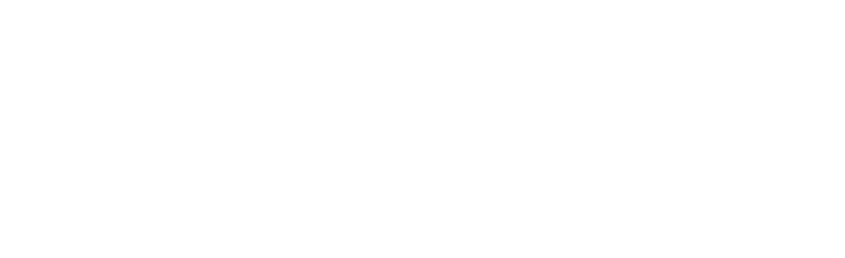 TODOFER SA